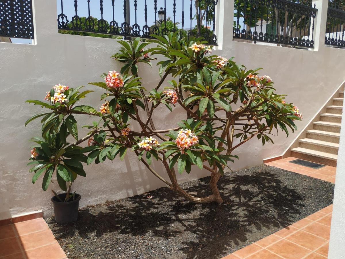 Punta Negra Apartment Puerto de Santiago  Exterior photo